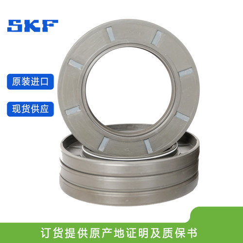 瑞典SKF 美国CR 骨架密封件 65X100X10 HMSA10 RG