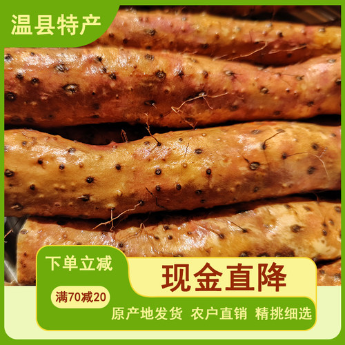 焦作温县铁棍山药现挖新鲜怀山药