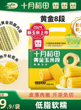 十月稻田黄金玉米段低脂黄糯玉米白糯香甜糯东北黏苞米真空袋装