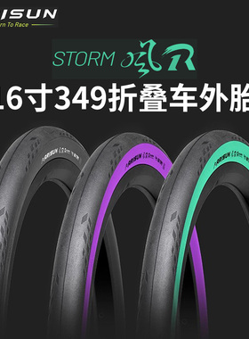 朝阳艾瑞森ARISUN 风R1小布外胎16寸349折叠防刺紫绿色折叠车轮胎