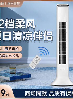 艾美特塔扇电风扇直流电机