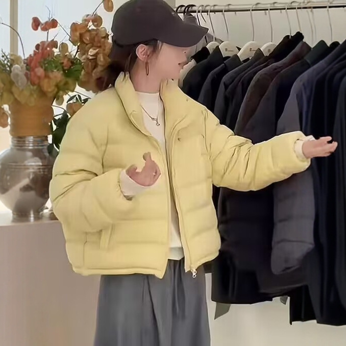 短款立领纯色白鸭绒羽绒