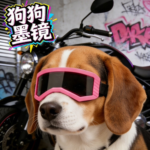 比格专用狗狗墨镜小狗眼镜防风镜紫外线太阳镜配饰宠物拍摄道具