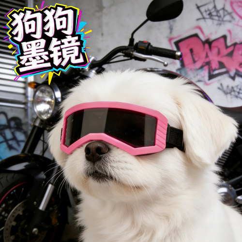 京巴专用狗狗墨镜小狗眼镜防风镜紫外线太阳镜配饰宠物骑行小型犬