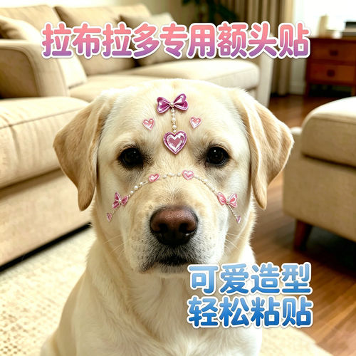 拉布拉多专用狗狗额头贴纸头饰发饰小狗配饰宠物水晶贴大狗钻石贴