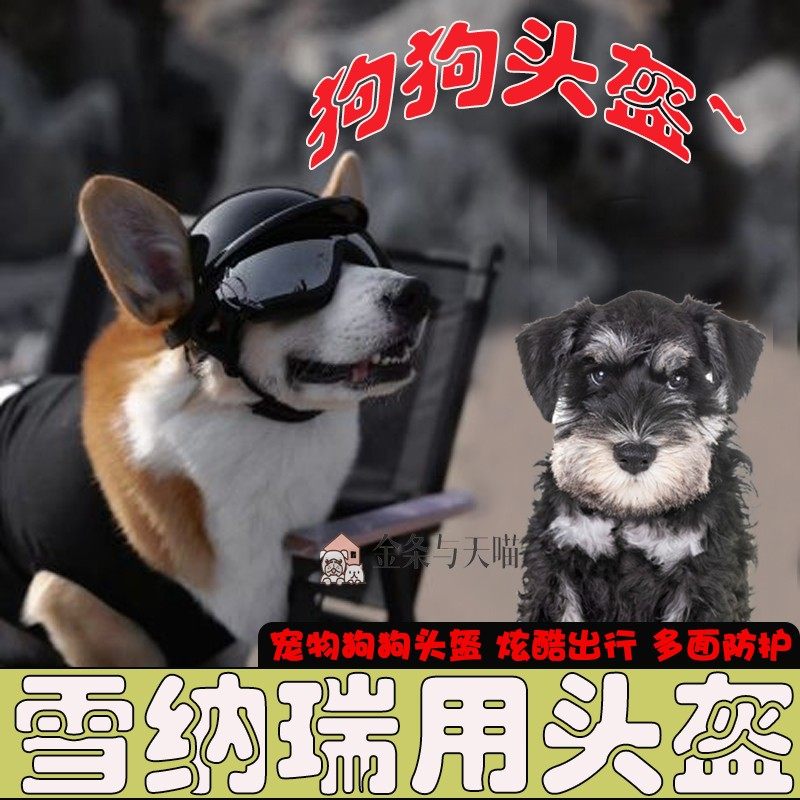雪纳瑞专用宠物头盔机车漏耳朵安全帽狗狗护目镜骑行小狗眼镜防风