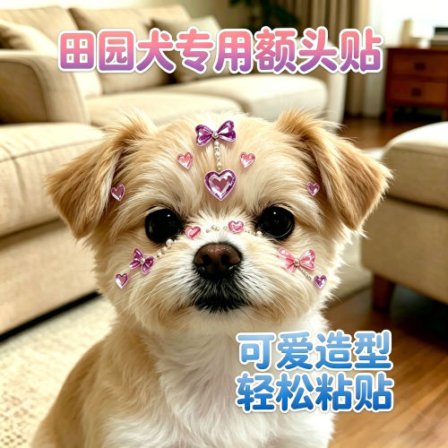 田园犬专用狗狗额头贴纸头饰发饰小狗配饰宠物水晶贴画钻石贴饰品