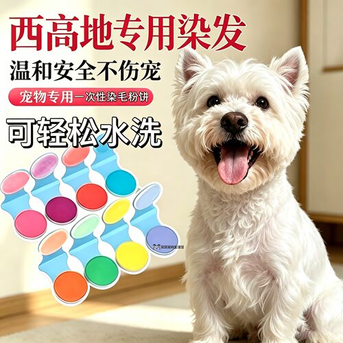 西高地专用狗狗染发剂宠物小狗染发膏染色剂狗毛染发染色安全无毒