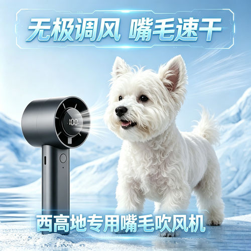 西高地专用狗狗吹嘴毛吹风机小狗面部嘴毛吹毛机宠物狗迷你脸部