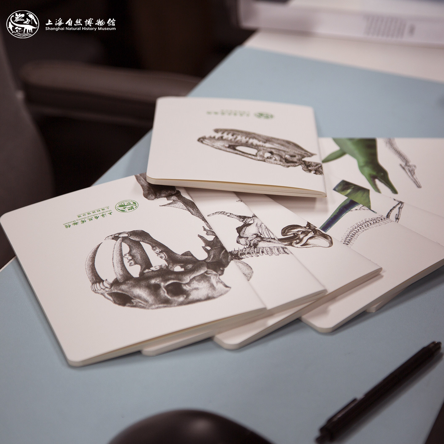 上海自然博物馆文创|美绘自然系列艺术本子 暴龙 猛犸象 蛇颈龙