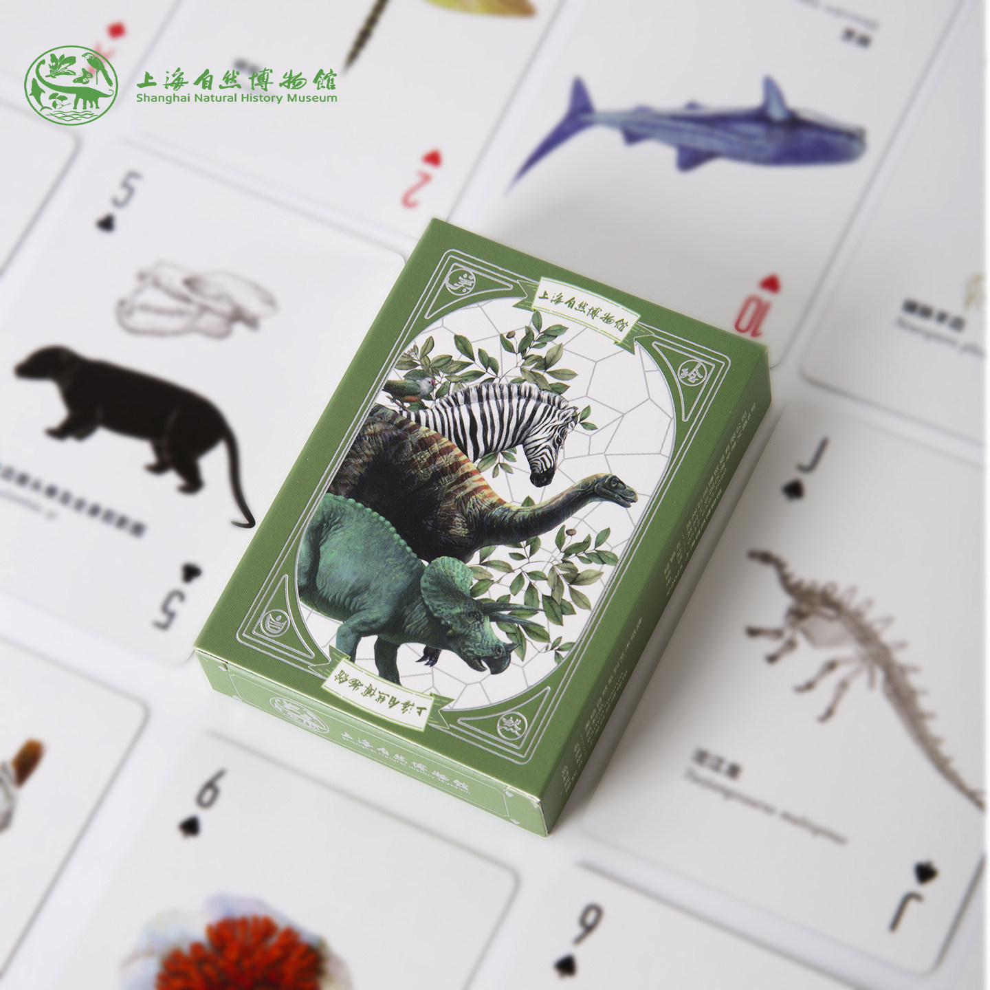 上海自然博物馆文创扑克牌 美绘自然文艺/生命长河艺术纸牌礼品