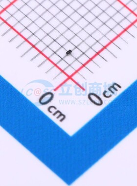 肖特基二极管 SDM05A30CP3-7 X3-WLB0603-2 DIODES(美台) 元器件