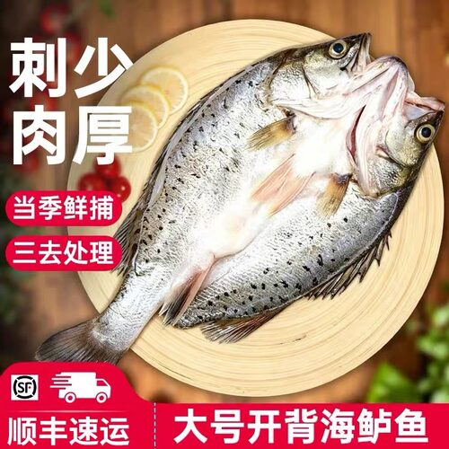 新鲜冷冻鲈鱼鲜鲈鱼新鲜野生七星鲈鱼调味醇香鲞黄鱼海鲈鱼水产