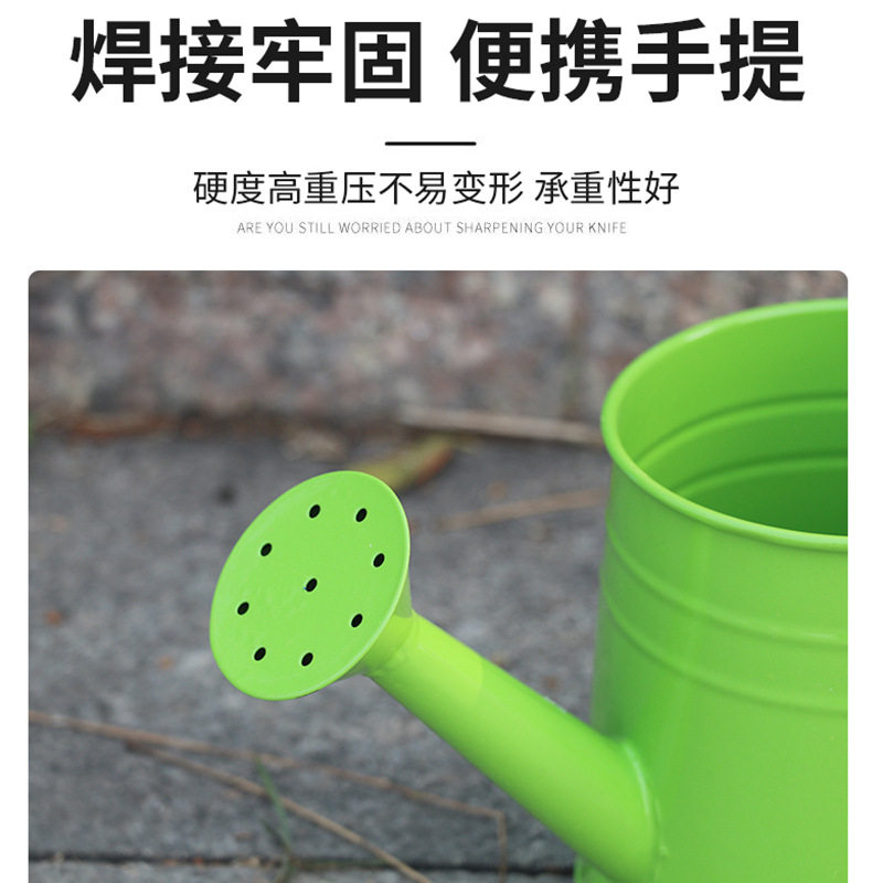 厂家直供铁艺洒水壶彩色园艺浇水壶儿童多肉植物浇花壶铁皮洒水壶,鲜花速递/花卉仿真/绿植园艺,园艺用品套装,淘宝优惠券,粉丝福利购,淘宝优惠卷