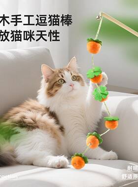耐咬彩球木杆柿子逗猫棒自嗨