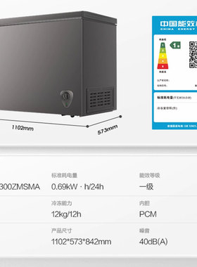 Ronshen/容声 BD/BC-300ZMSMA冷柜大容量一级能效冰柜家用商用