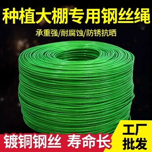 大棚专用包塑钢丝绳镀铜防锈抗晒葡萄架百香果种植搭架养殖晾衣绳