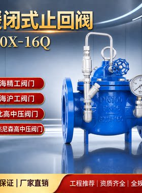 上海精工湖北高中压止回阀300X