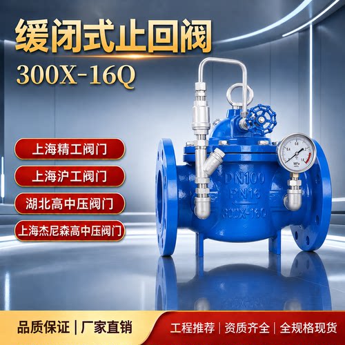 上海精工湖北高中压止回阀300X