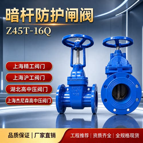 上海精工湖北高中压Z45TZ41T