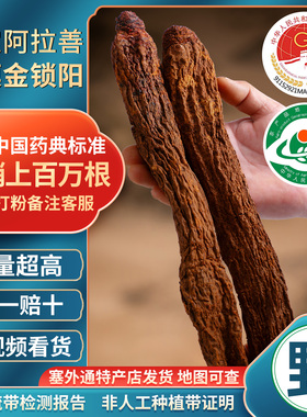 阿拉善非种植金锁阳官方正品整根内蒙古肉苁蓉淫羊藿中药材泡酒料