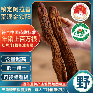 阿拉善非种植金锁阳官方正品 整根内蒙古肉苁蓉淫羊藿中药材泡酒料