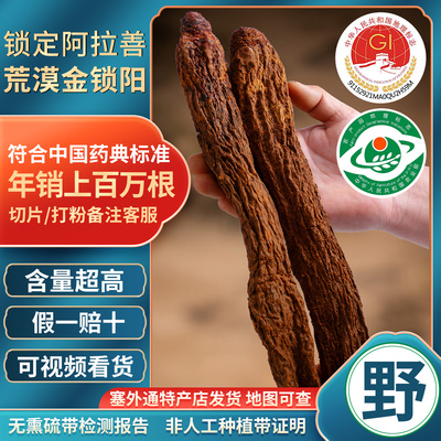 野生特级金锁阳中药材阿拉善发货