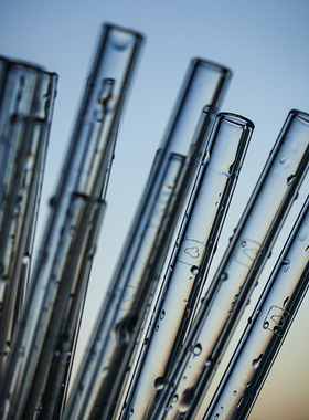 德国俐傲纳朵 LEONARDO 透明玻璃吸管非一次性环保耐热食品级饮料