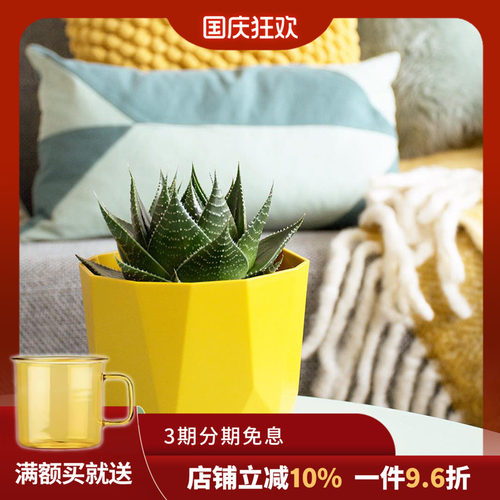 elho荷兰园艺树脂北欧花盆多肉植物盆栽大号家用室内阳台花卉种植