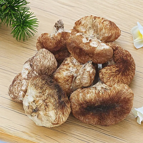 谭小六长白山野生大朵猴头菇干货