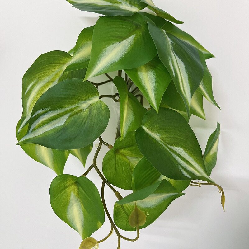 仿真绿植小盆景龟背叶假花仿真绿爬宠缸/箱