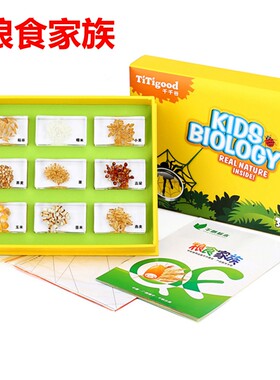 家族植物标本幼儿园教具制作材料
