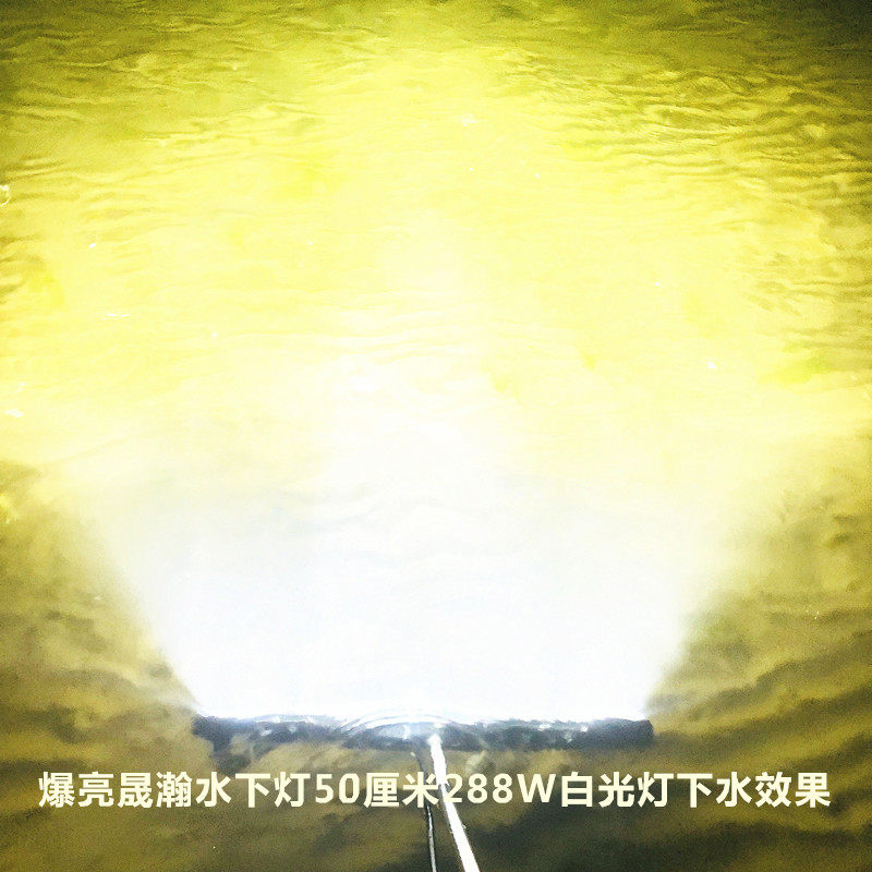 超亮强光赶海水下灯12vLED黄白光防水灯赶海神器抓螃蟹猫眼螺海螺