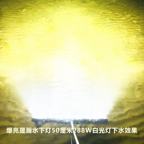 超亮强光赶海水下灯12vLED黄白光防水灯赶海神器抓螃蟹猫眼螺海螺