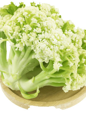 湖北特产松花菜青梗白面西蓝花青菜新鲜蔬菜大全散花花椰菜菜花