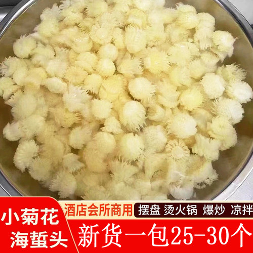福建海蜇花小菊花海蜇头烫火锅