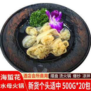 新货海母花500g*20包/件海蜇花水母火锅餐饮酒店商用海蜇头
