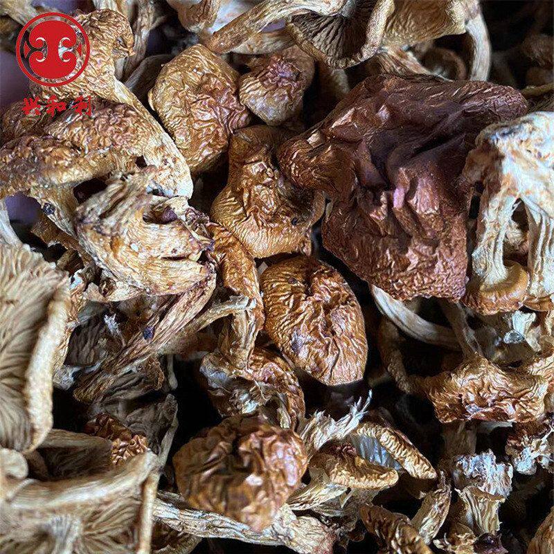 滑子250g批发批发蘑蘑菇食用菌厂家珍珠菇  滑子菇干货散朵