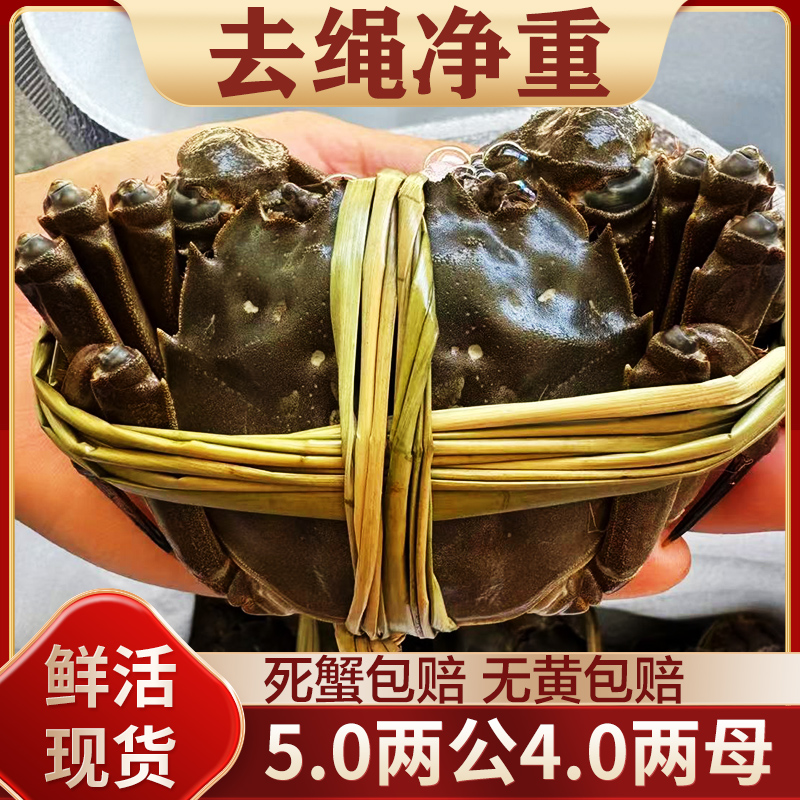9月20日正式只发纯母蟹