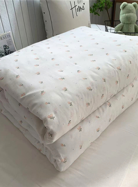 纯棉加密内胆套棉胎被套被芯保护套包蚕丝棉花用被胎套全棉褥子套