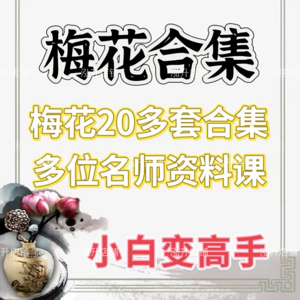 梅花30多套国学名师精讲视频课程＋电子资料大梅花终点站全套推荐