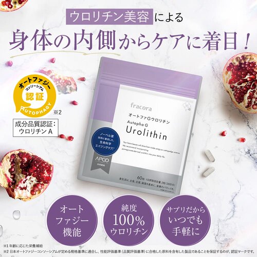 fracora尿石素细胞能量线粒体