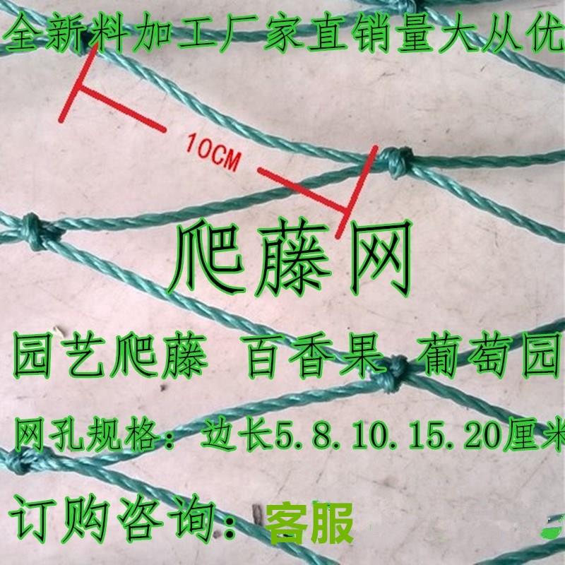 葡萄架爬藤 吊顶网 网格专用网状农用家用攀爬藤网植物种植神器|ruв категории доставка цветов/цветок моделирования/растения садоводства, садовых принадлежностей, других садовых принадлежностей - от Buy2taobao.com для оказания профессиональной услуги покупки агента Taobao
