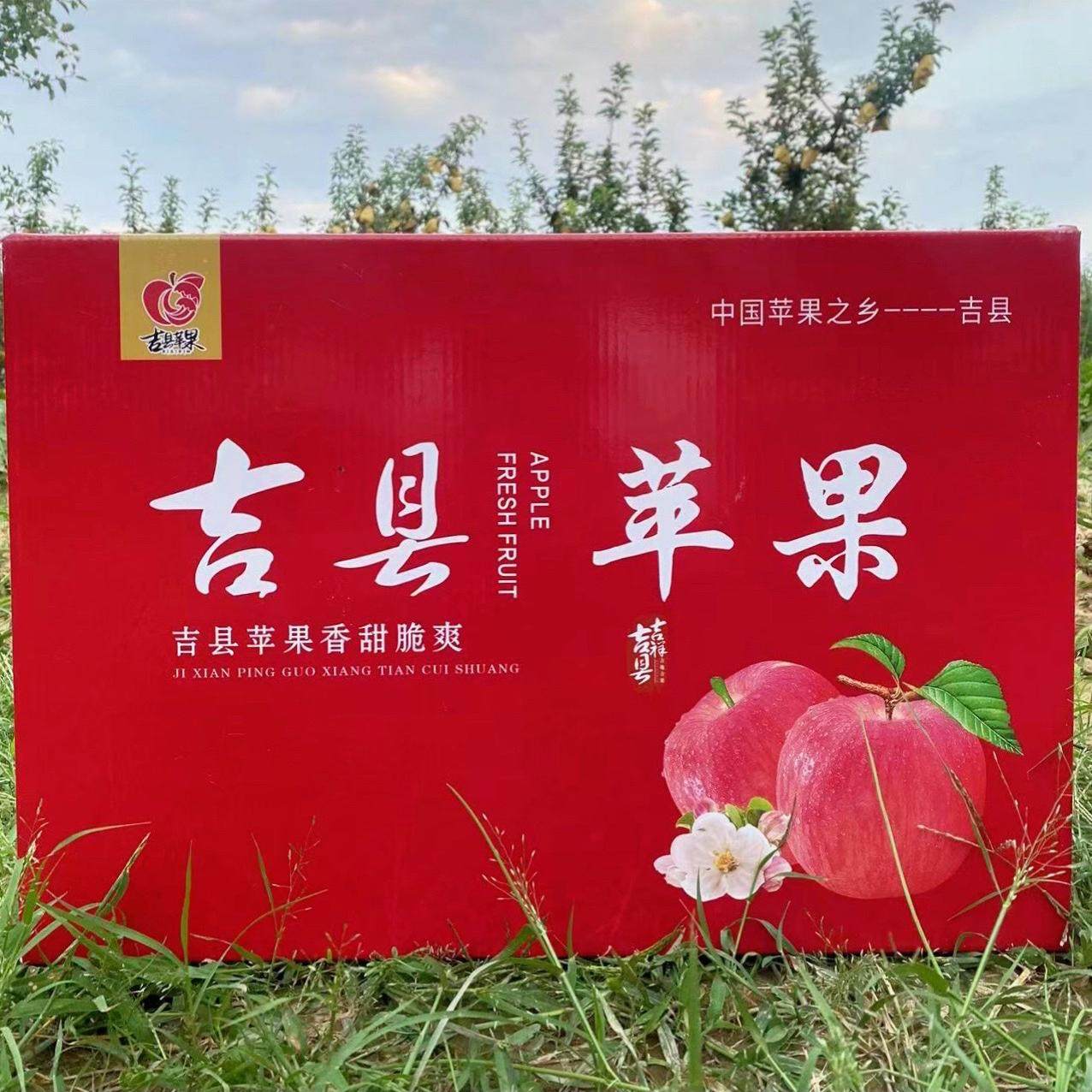山西吉县红富士脆甜苹果礼盒装