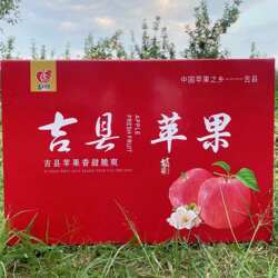 山西吉县苹果新鲜脆甜大果中秋送礼盒装壶口红富士产地直发