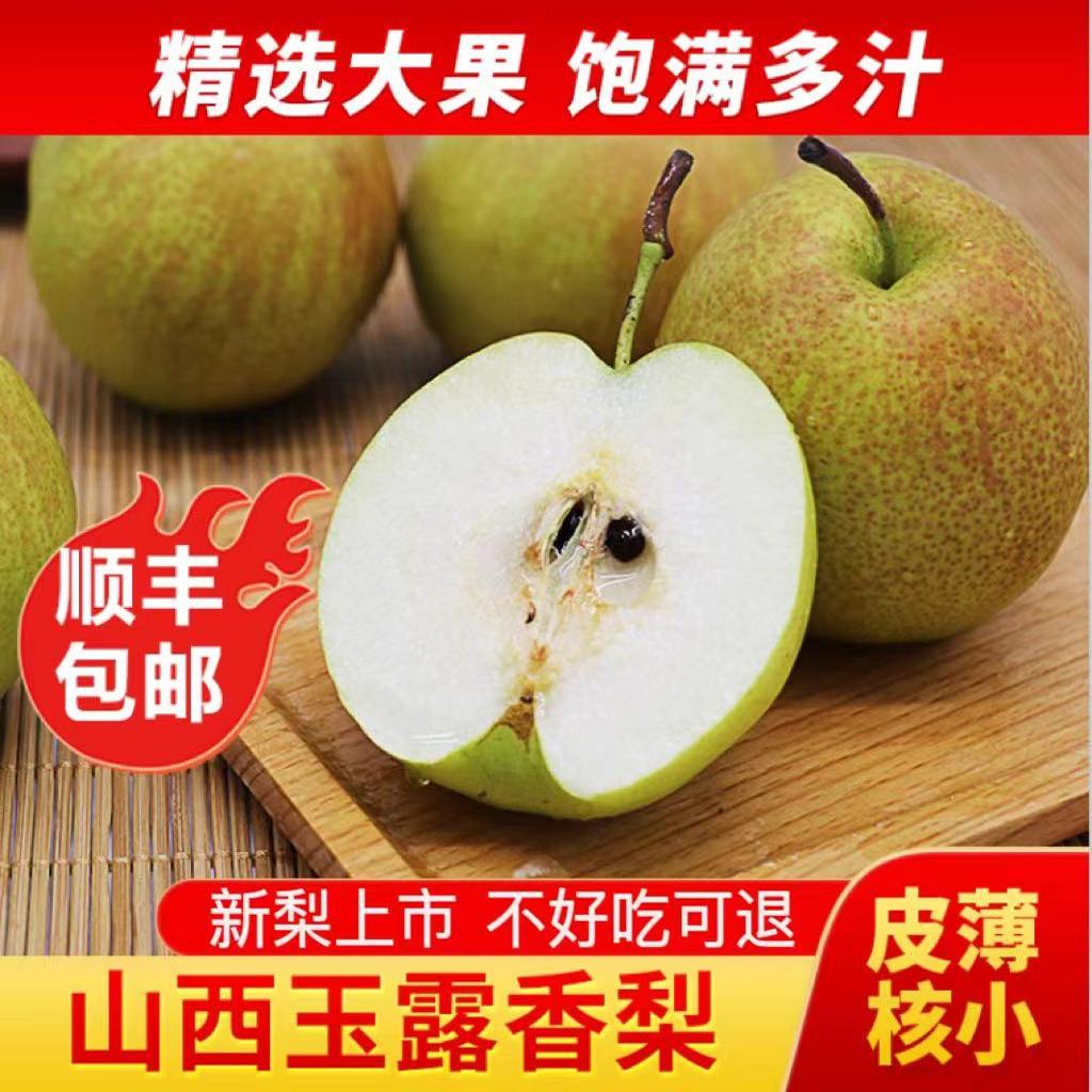 山西玉露香梨当季脆甜梨子
