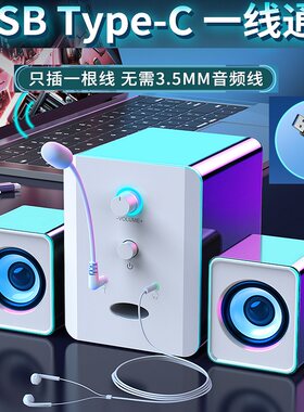 USB/Type-c双用一线通笔记本电脑音响游戏电竞蓝牙音箱麦克风一体