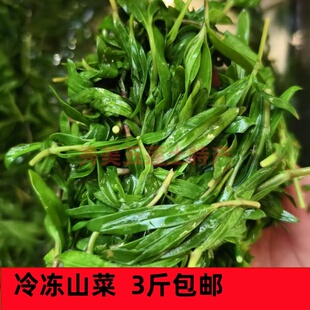 山东五莲新鲜冷冻山苜楂野菜山珍菜山野菜蔬菜制品三斤包子馅包邮