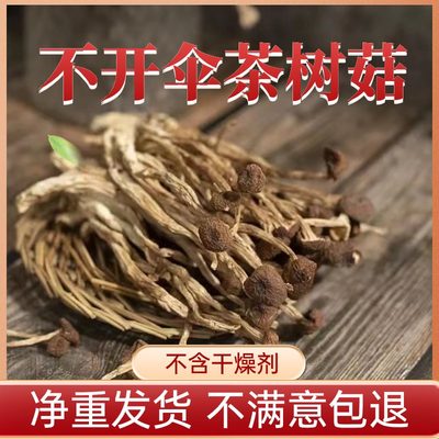 茶树菇干货100%纯净重不含干躁剂