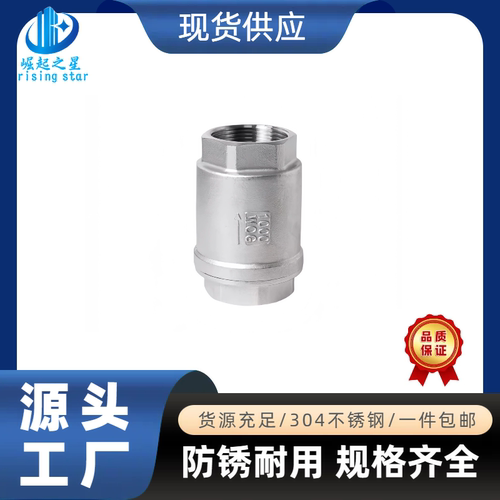 304不锈钢立式止回阀弹簧逆止阀